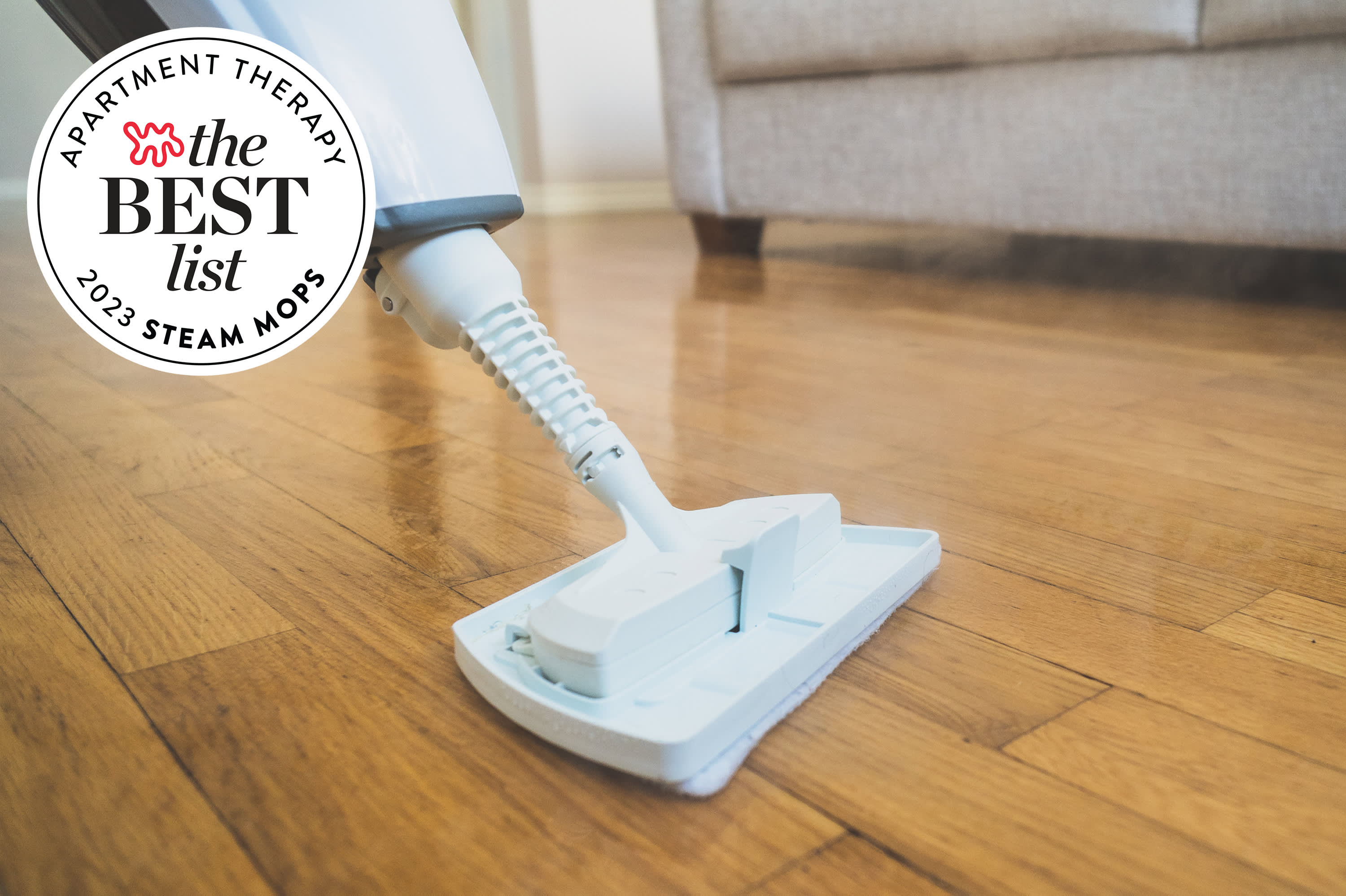 Best steam mop for deals hardwood floors